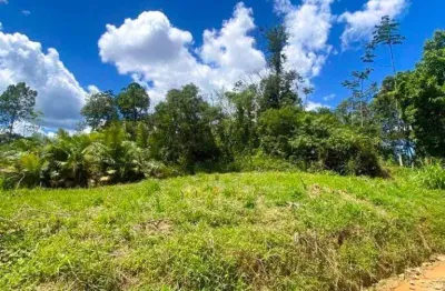 Terreno à venda, 2500 m² por r$ 250.000,00 - vila itoupava - blumenau/sc