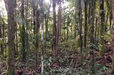 Sítio à venda, 40000 m² por R$ 500.000,00 - Vila Itoupava - Blumenau/SC