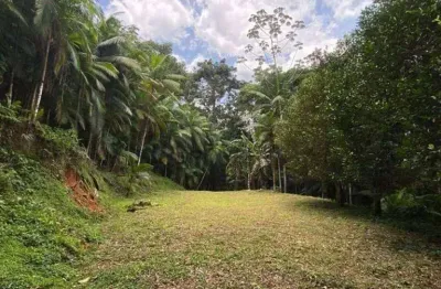 Terreno à venda, 20000 m² por r$ 350.000,00 - vila itoupava - blumenau/sc