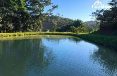 Sítio com 2 dormitórios à venda, 85000 m² por r$ 650.000,00 - vila itoupava - blumenau/sc