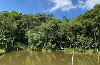 Sítio com 1 dormitório à venda, 25000 m² por r$ 450.000,00 - centro - massaranduba/sc