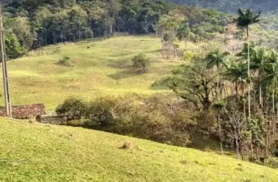 Chácara / sítio à venda no Progresso, Blumenau 