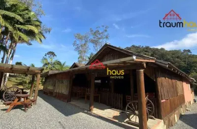 Sítio com 5 dormitórios à venda, 66210 m² por r$ 1.350.000,00 - vila itoupava - blumenau/sc