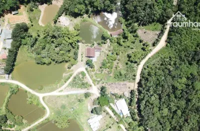 Sítio com 3 dormitórios à venda, 20000 m² por r$ 1.350.000,00 - vila itoupava - blumenau/sc