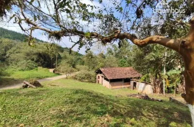 Sítio à venda, 155.650,00 m² por r$ 750.000 - baixo maximo - luiz alves/sc