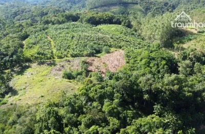 Terreno à venda, 15000 m² por r$ 240.000,00 - vila itoupava - blumenau/sc