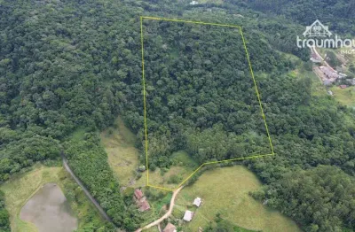 Terreno à venda, 40607 m² por r$ 270.000,00 - itoupava central - blumenau/sc