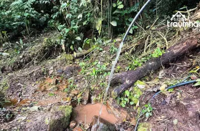 Sítio com 2 dormitórios à venda, 149950 m² por r$ 950.000,00 - gaspar alto - gaspar/sc