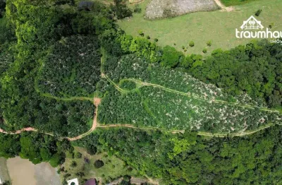 Terreno à venda, 92.651,44 m² por r$ 460.000 - centro - massaranduba/sc