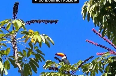 Terreno à venda em jaguariúna, mauá ii, condomínio paulista