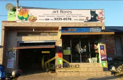 Impecável casa à venda em curitiba-pr, campo de santana: 3 quartos, 2 banheiros, 248m² de área. venha conferir!