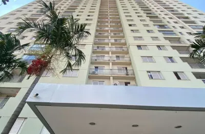 Apartamento padrão para locação, vila jaraguá, goiânia, go