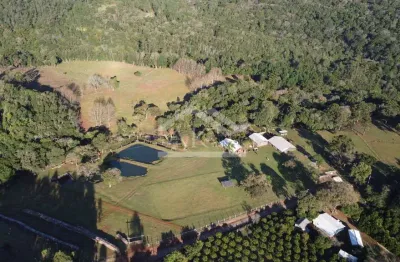 Sítio com potencial turístico à venda em são francisco de paula