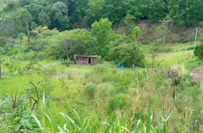 Amplo terreno com vista, às margens da br 116, à venda em picada café, na serra gaúcha
