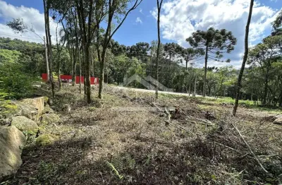 Terreno com fundos para área verde à venda em nova petrópolis na serra gaúcha