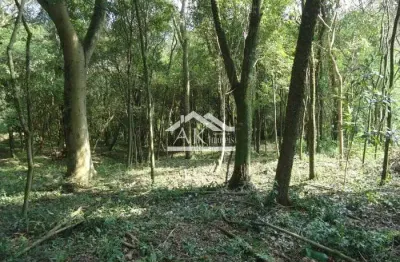 Terreno arborizado, margeado por rio, a venda em picada café, na serra gaúcha