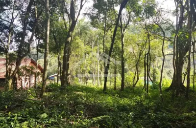 Amplo terreno arborizado à venda em picada café na serra gaúcha