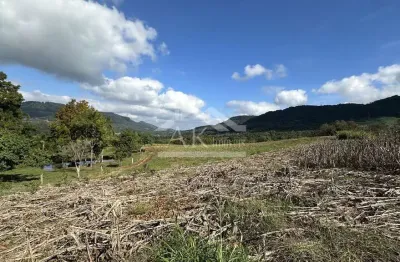 Amplos terrenos à venda em picada café, na serra gaúcha