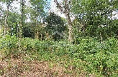 Amplo terreno à venda em nova petrópolis, na serra gaúcha