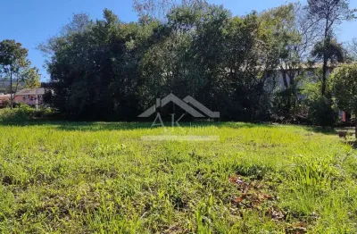 Terreno plano e amplo à venda, próximo a br-116, em picada café na serra gaúcha.