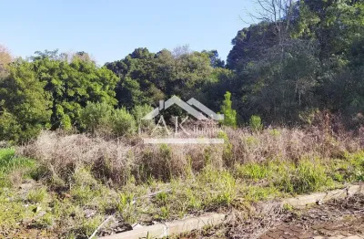 Terreno com 368,60m² à venda em nova petrópolis na serra gaúcha