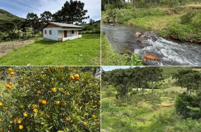 Chácara com riacho à venda no interior de morro reuter