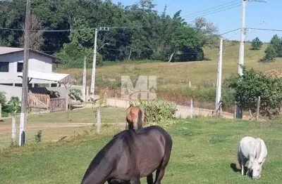 Casa com 4 quartos à venda na Rua Oscar Pereira, 75, Centro, Barra Velha