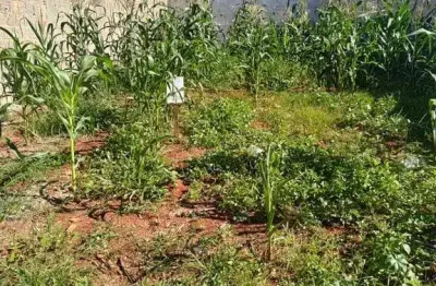 Terreno à venda no reserva centenária em santa bárbara d'oeste.