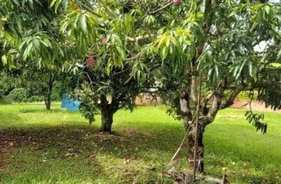 Chácara à venda no condomínio monte alto em limeira