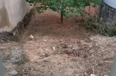Terreno à venda no residencial vale das nogueiras, americana