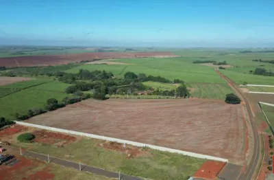 Área industrial à venda no bairro sto. antônio do sapezeiro em santa bárbara d'oeste com 20.200 m².
