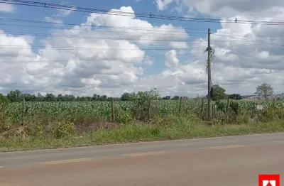 Chácara à venda, a apenas 1 km da rodovia anhanguera em limeira