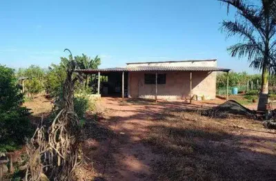 Sítio na zona rural de santa bárbara d’oeste com 2 quartos e pomar produtivo
