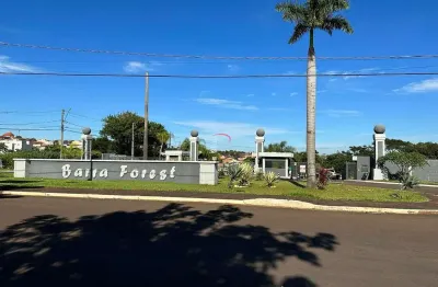 Condomínio residencial barra forest - terreno com 366, 54 m² à venda por r$ 190.000,00 - parque leb