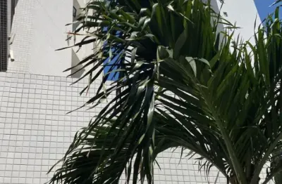 Duplex para aluguel com 100 metros quadrados com 2 quartos em boa viagem - recife - pe