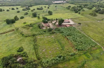 67 hectares com rio perene em jacaraú/pb por r$ 28 mil/ha – investidor agro, essa é pra fechar rápido!