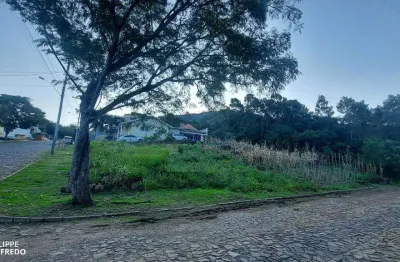 Terreno à venda, 353 m² por r$ 254.000,00 - vale verde - dois irmãos/rs