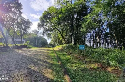 Terreno 1.178 m² ao lado do mirante belvedere no morro reuter (oportunidade para