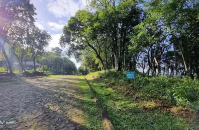 Terreno 1.178 m² ao lado do Mirante Belvedere no Morro Reuter (oportunidade para