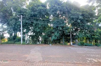 Terreno à venda na Alto Vila Rosa, Lote 11, Vila Rosa, Dois Irmãos