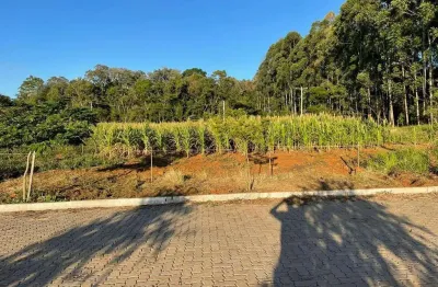 Terreno à venda na Rua Das Broméllias, 02, São João, Dois Irmãos