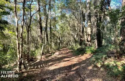 Terreno à venda na Estr. Morro Dos Réis, 1527, Travessão, Dois Irmãos