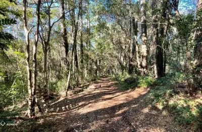 Terreno à venda na Estr. Morro Dos Réis, 1527, Travessão, Dois Irmãos