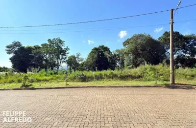 Terreno à venda na R. Walter Schuck, Lote 3 qua, Vila Rosa, Dois Irmãos