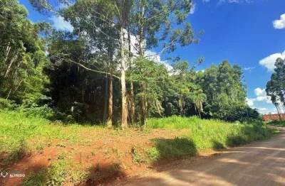 Terreno à venda na Balduino Weiler, lote 01, Centro, Morro Reuter