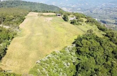 Chácara / sítio à venda na Estr. Morro Do Pedro, 000, Morro Do Pedro, Presidente Lucena
