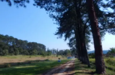 Terreno à venda, 31500 m² por r$ 15.950.000,00 - finco - são bernardo do campo/sp