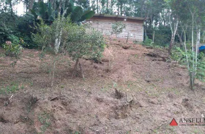 Terreno à venda, 1000 m² por r$ 200.000,00 - cidade recreio da borda do campo - santo andré/sp