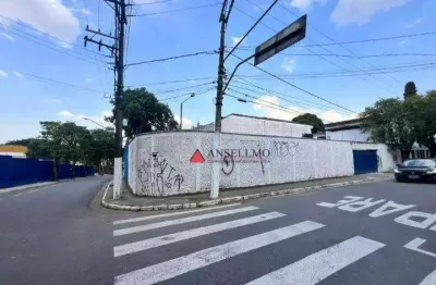 Terreno para alugar, 300 m² por r$ 10.300,00/mês - jardim do mar - são bernardo do campo/sp