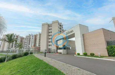 Apartamento térreo com 2 dormitórios à venda, 54 m² por r$ 260.000 - colônia rio grande - são josé dos pinhais/pr